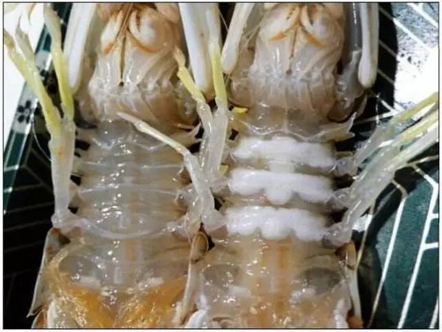 皮皮虾有多好吃,皮皮虾到底有啥好吃的