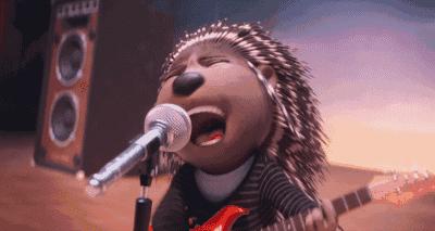 动物好声音所有歌曲,动物好声音