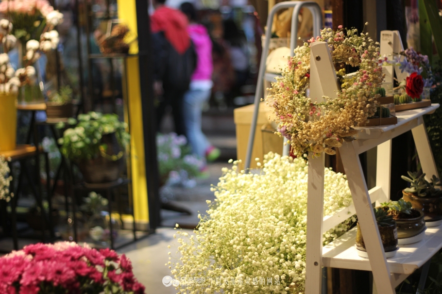 丽江古城的美丽夜景,丽江古城真的是个很美丽的地方