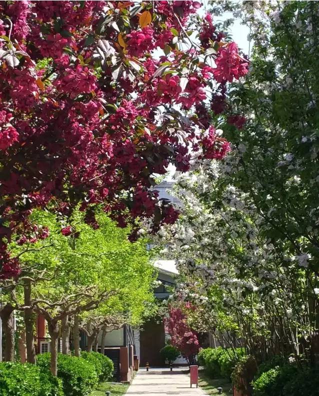 大隐于市的“顶级办公空间缔造者”——艾迪尔建筑装饰北京总部探秘「设易网1410期」