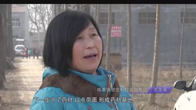 河南省永城市陈集镇望庄村时楼村,陈集镇望庄村