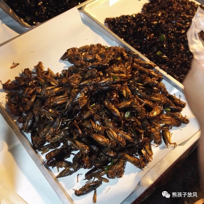 能在异国被警察抓也没谁了吧？这是我的清迈，和你去的不一样！