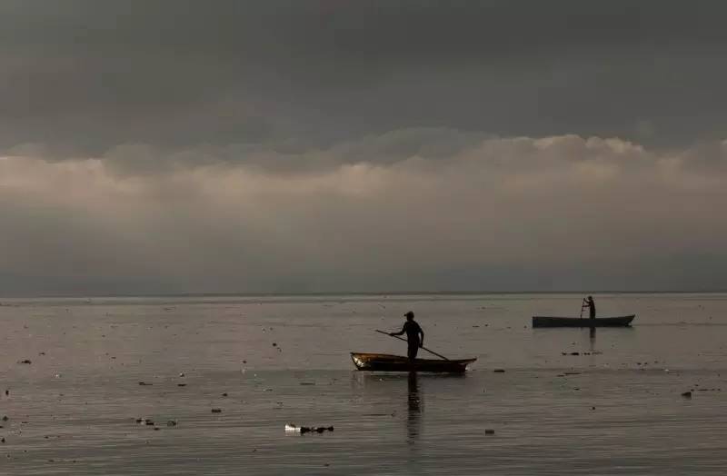 外来入侵给我们的警示,外来入侵的途径