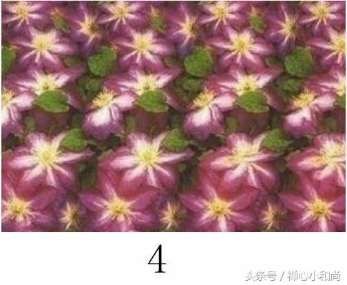 最强大脑小四道歉完整版,最强大脑小四和魏教授吵架