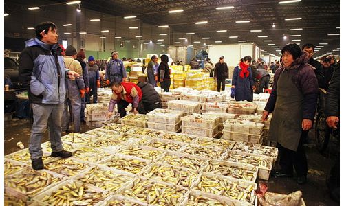 怎样选购水产类食物