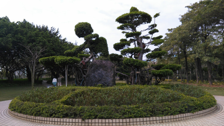 鹭岛靓湖——厦门筼筜湖，海湾公园（厦门深度游39）