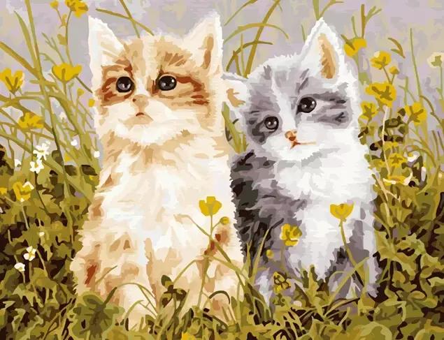 合肥可以diy的店铺,合肥DIY店有吗