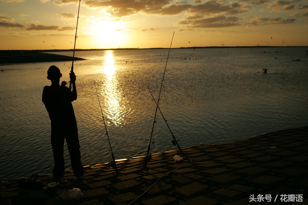 钓鱼鸡肝饵料的做法,鸡肝钓鱼绝招大全