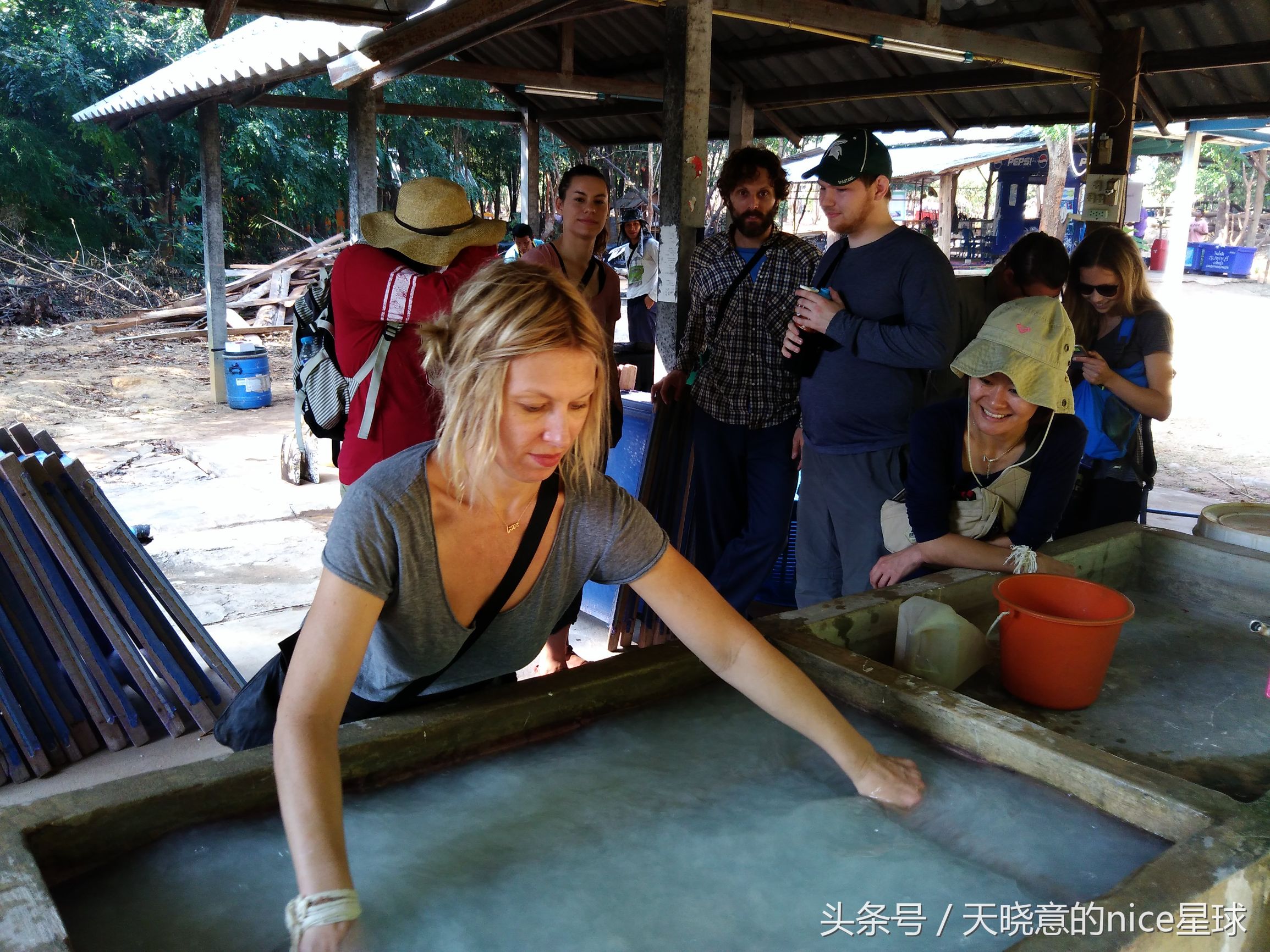 泰国大象旅行记,泰国旅游跟大象近距离接触