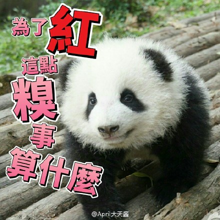 中国十大最火的外国网红,抖音百万网红姐弟抱大腿