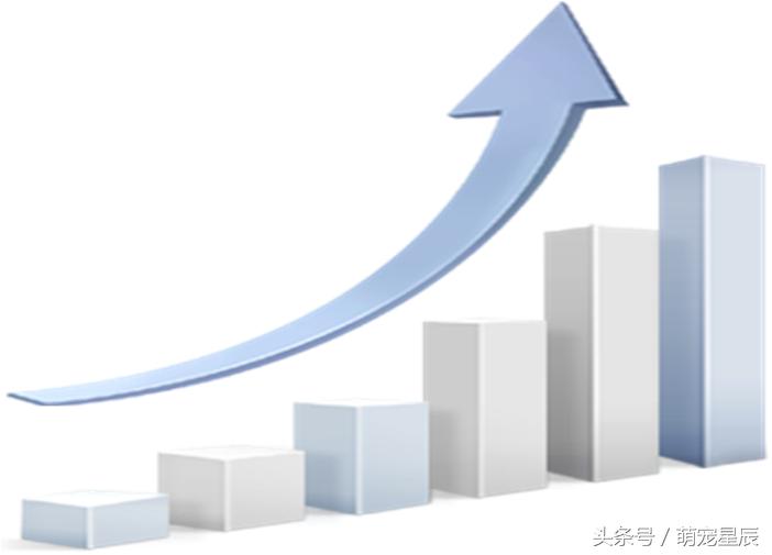 进口猫粮出问题,进口宠物狗粮和猫粮的流程