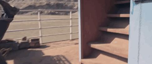 文章马伊琍为什么要演剃刀党,文章马伊琍近期新剧