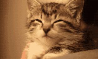 GJSAY光晶说：如何做网店推广？真实人气，引爆您店铺流量！