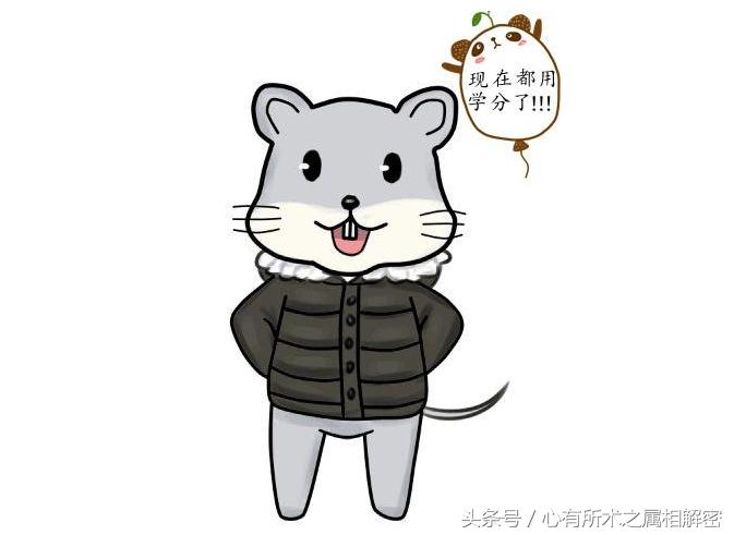 生肖五行速记,生肖命理歌诀详解视频