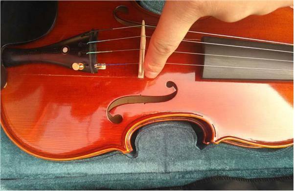 快递运损只赔最高五倍运费 (快递因空运变陆运造成损失)