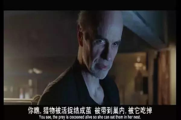 这是你们要的大长腿，备好纸巾，准备上下其手吧