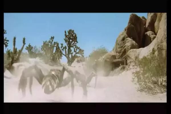 这是你们要的大长腿，备好纸巾，准备上下其手吧