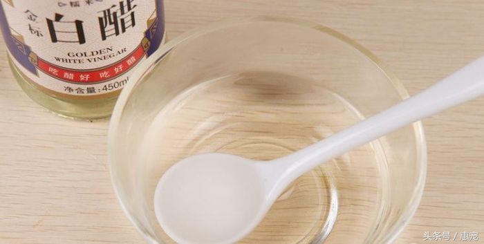 一下雨狗就害怕,下雨天狗狗太臭怎么办啊