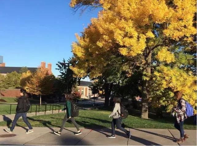 美国学费最贵前十位,美国费用最低的名校