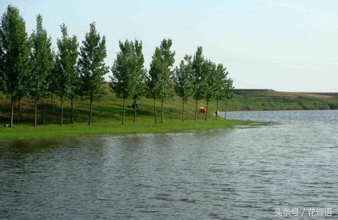 钓鱼鸡肝饵料的做法,鸡肝钓鱼绝招大全