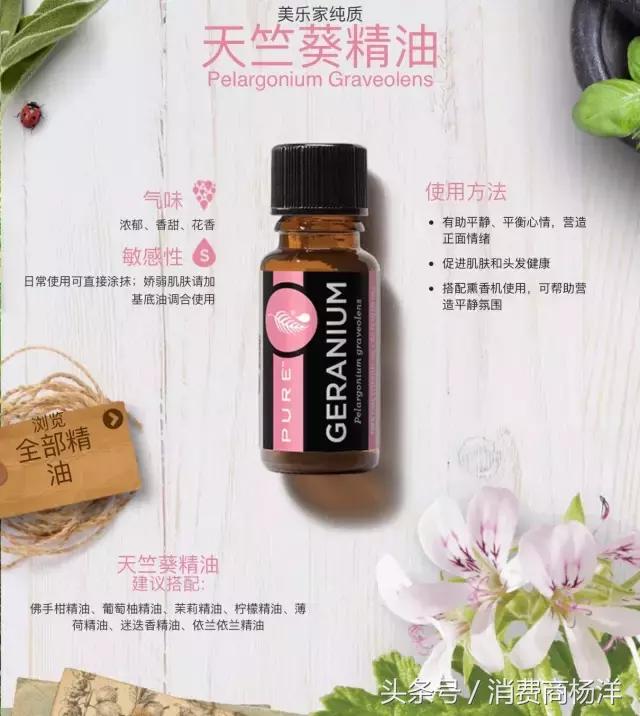 十二款精油的介绍,介绍一下精油种类和价格