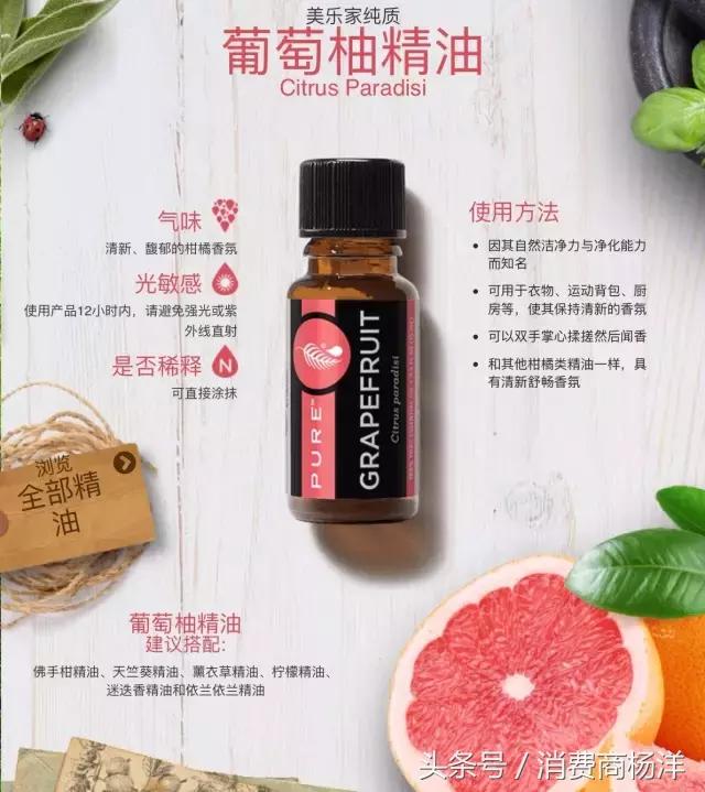 十二款精油的介绍,介绍一下精油种类和价格
