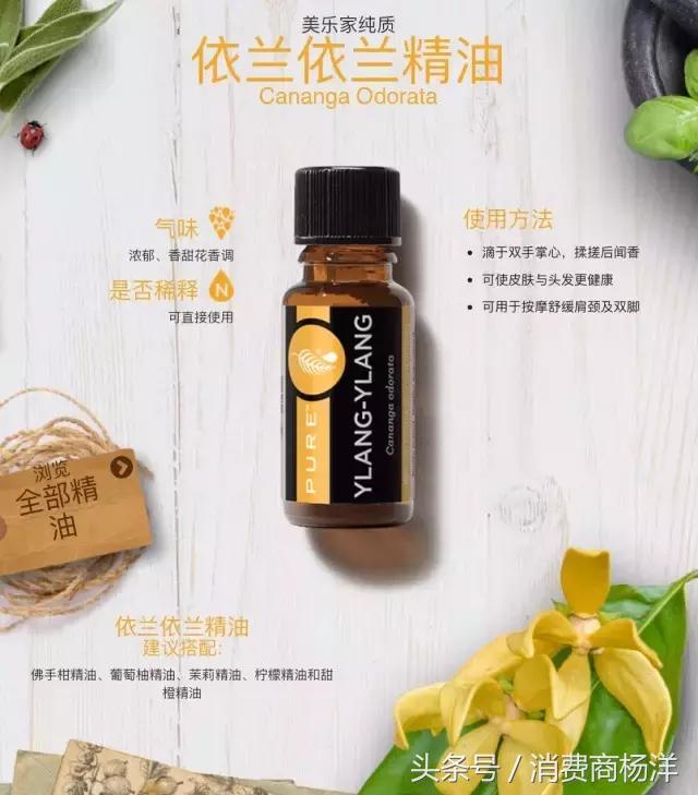 12生肖专用精油,大牌精油推荐