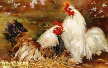 生肖鸡和猴子运势好吗,生肖猴风水财运如何看