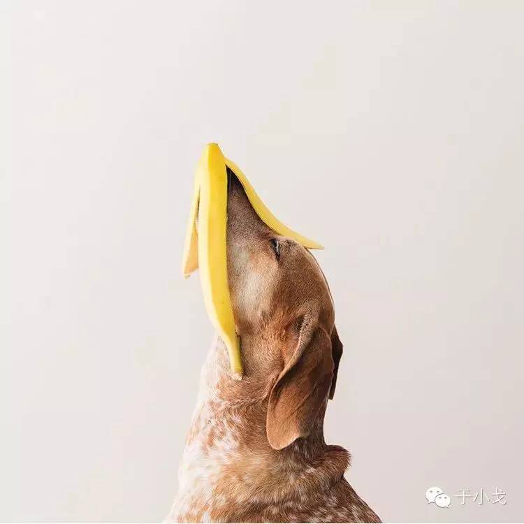 过年什么礼物给父母,过年啥礼物上档次