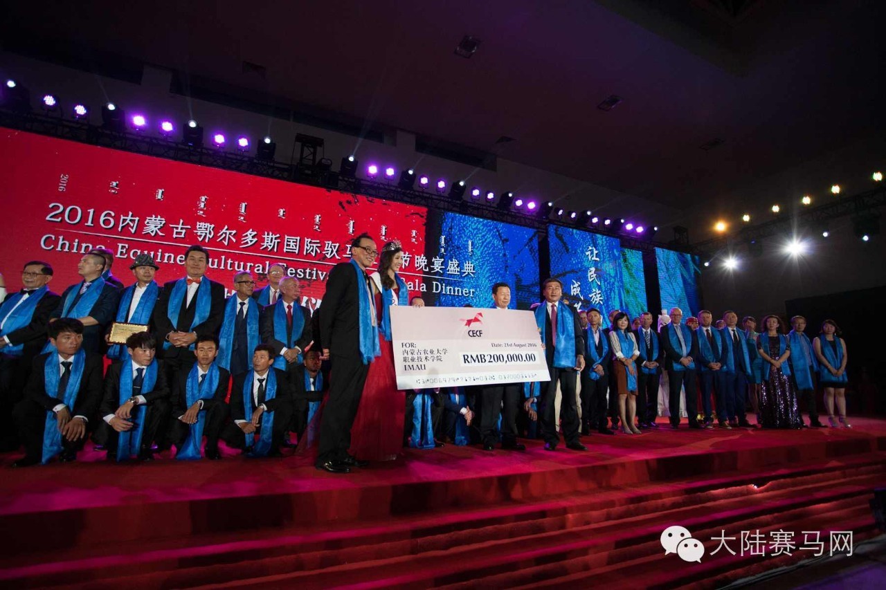 马术文化节开幕,鄂尔多斯驭马节赛事