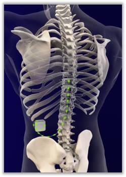 关于疼痛的新技术新项目,疼痛科新技术新项目