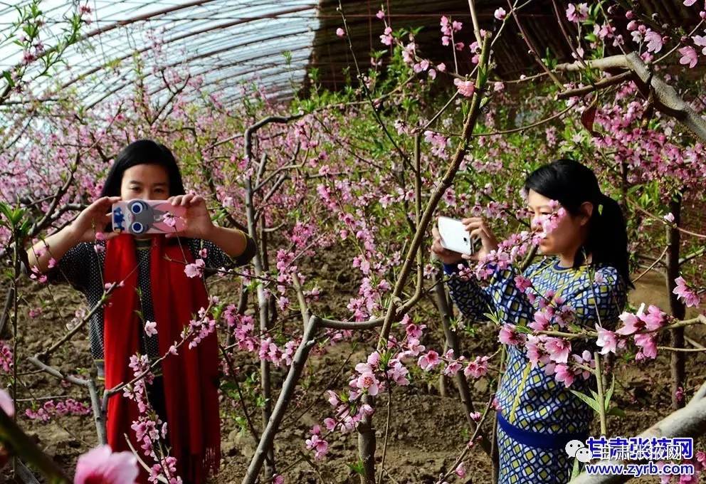 甘州大事件全集,甘州最近发生的事情