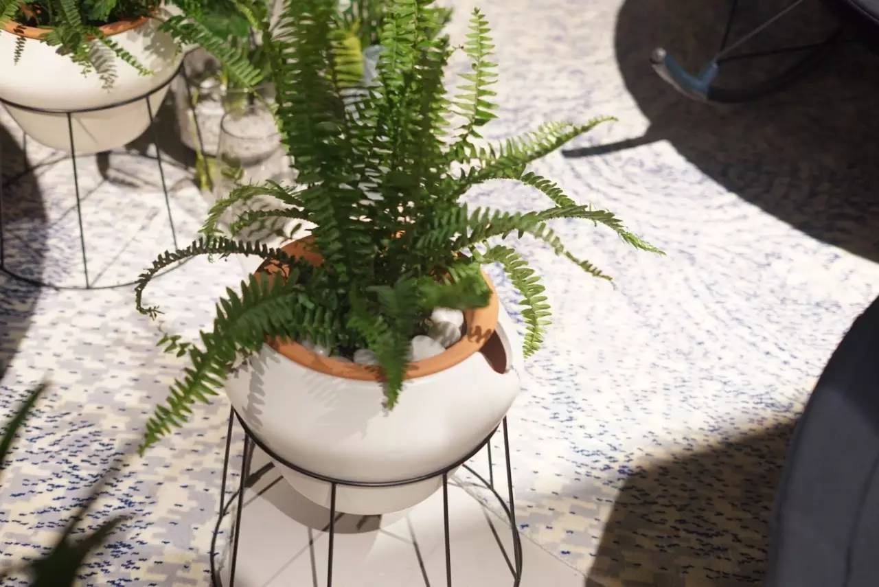 一口气推出了50多款PS新品，宜家彻底放飞了自我！挂到墙上的沙发、自动浇水的花盆……错过等3年