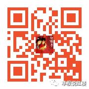 红楼梦蒋勋细说红楼梦20回上,红楼梦蒋勋细说红楼梦102回