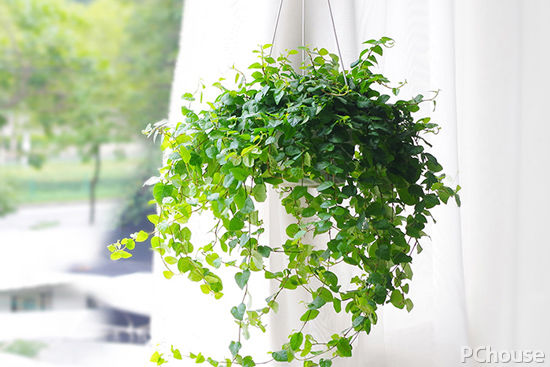 冬天甲醛更活跃如何躲避甲醛危害,怎么测甲醛和清除甲醛