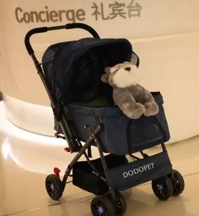 成都有哪些商场值得去,成都可以带宠物玩耍的地方