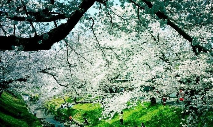 元曲春天,宋词里的春天意境深远