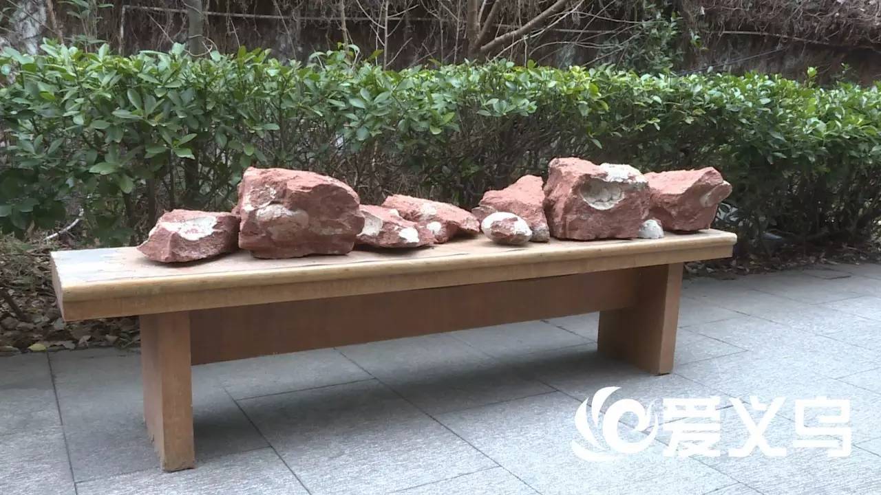 有图有真相，一亿年前义乌是恐龙乐园，因为今天在赤岸……