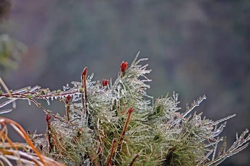 雪竟下得那么认真？居然感动了孟非踏雪来到江西，等不及了快上车