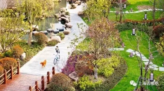 魔都这10家萌宠餐厅酒店，拯救留守在家的喵喵狗狗！咖啡、汉堡、江景……和主子腻在一起！