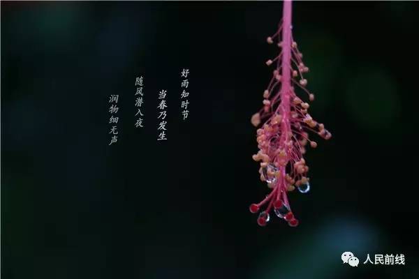 如果没有在军营，这些美你也许永远不会看到