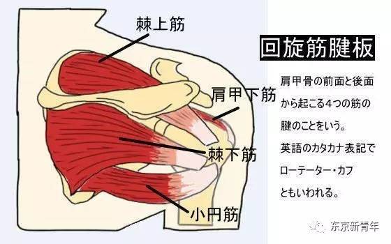 日本人的暖宝宝,日本人贴热贴