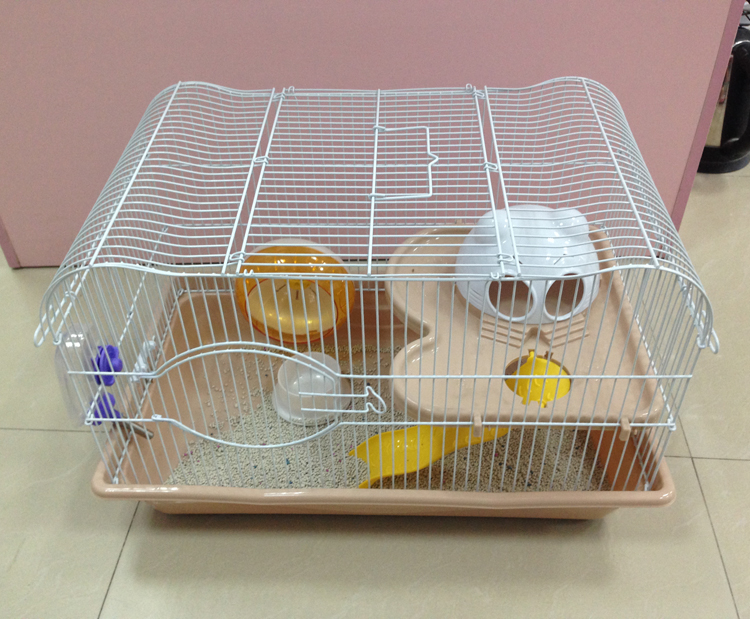 饲养仓鼠的正确方法,仓鼠老婆婆饲养教程