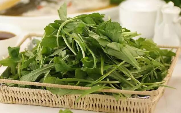 千岛湖乡间野趣如画,千岛湖踏青美景