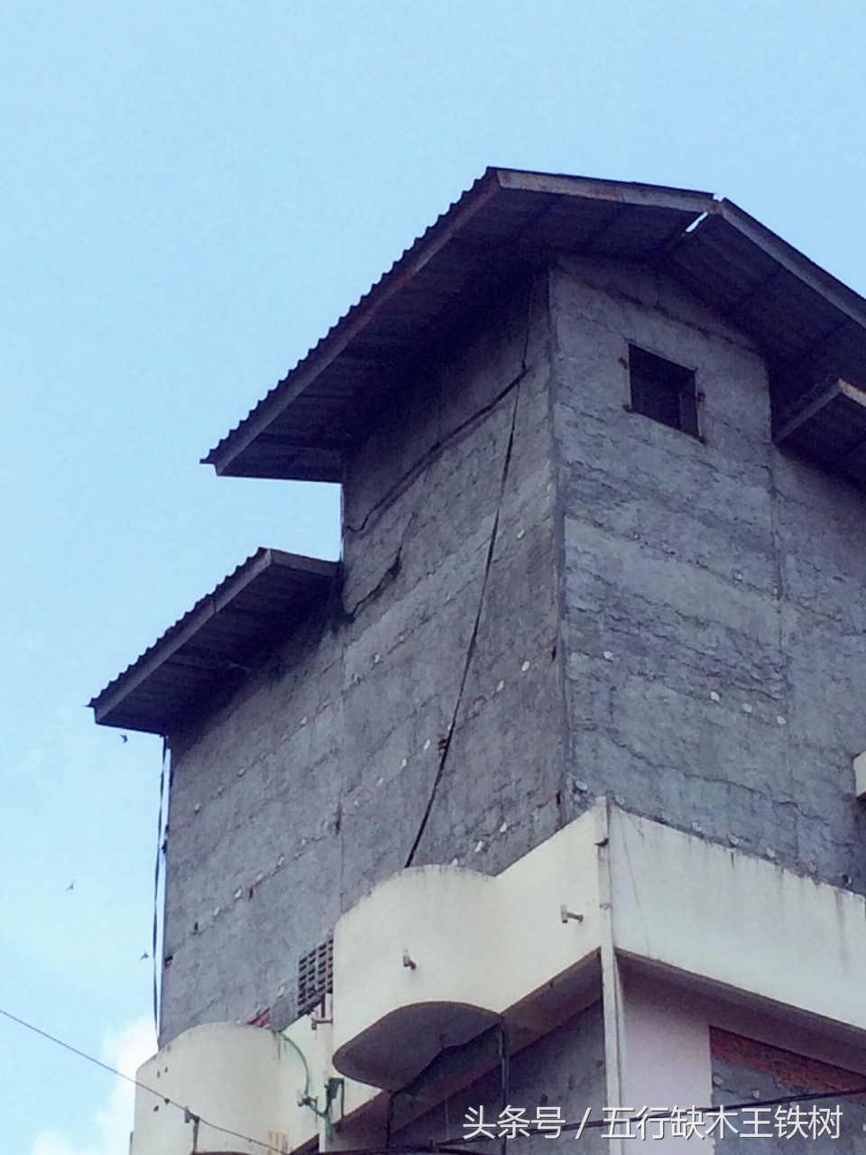 泰国燕窝什么工艺,泰国燕窝知识