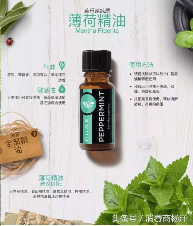 十二款精油的介绍,介绍一下精油种类和价格