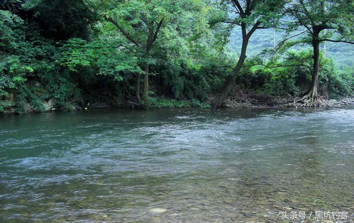 钓鱼遇到的问题和解析,新手钓鱼常见的问题