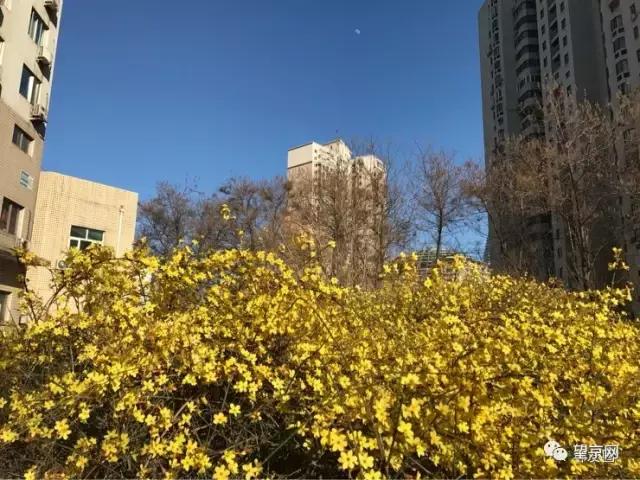 从望京地标到望京西园四区，繁华落尽依旧爱你！