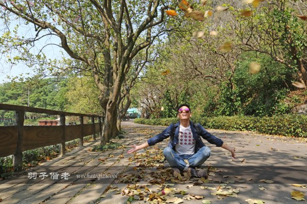 居于涟岸隐于湖，到肇庆体验离尘不离城的精致慢生活