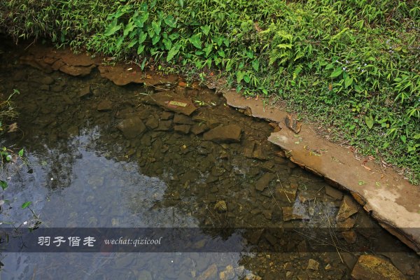 居于涟岸隐于湖,到肇庆体验离尘不离城的精致慢生活